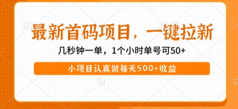 最新首码项目，操作最简单，收益高，一键拉新，1个小时单号可50+，小项目认真做每天5张+收益【揭秘】-中创项目网
