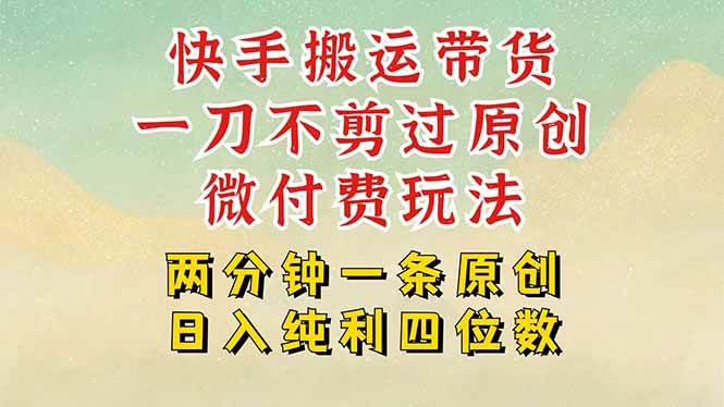 （15577期）快手黑科技搬运带货，一刀不剪过原创，微付费投流玩法，轻松日入四位数…-中创项目网