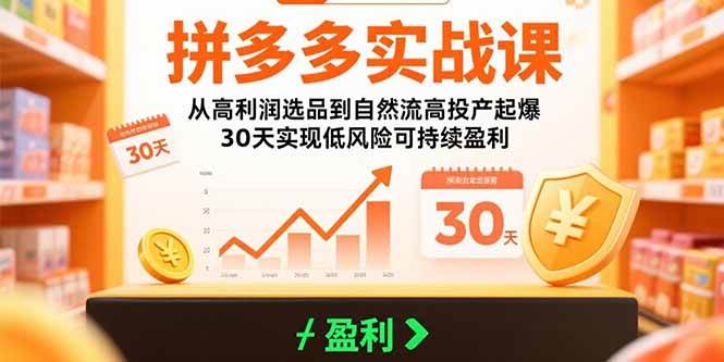 （15586期）拼多多实战课：从高利润选品到自然流高投产起爆 30天实现低风险可持续盈利-中创项目网