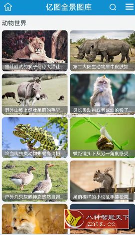 亿图 v1.2.6纯净版-中创项目网