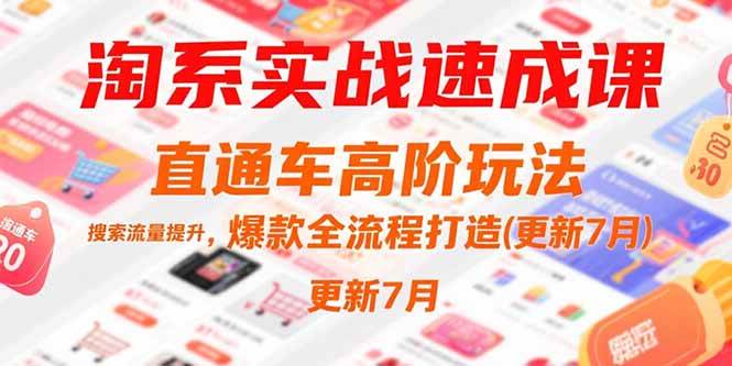 （15374期）淘系实战速成课，直通车高阶玩法，搜索流量提升，爆款全流程打造(更新7月)-中创项目网