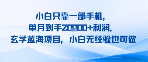 小白只靠一部手机，单月到手2W+利润，玄学蓝海项目，小白无经验也可做-中创项目网