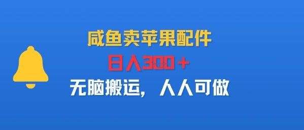 咸鱼卖苹果配件，日入3张+，无脑搬运，人人可做-中创项目网