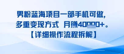 8月新男粉蓝海项目一部手机可做，多重变现方式 月入4W+【详细操作流程拆解】-中创项目网