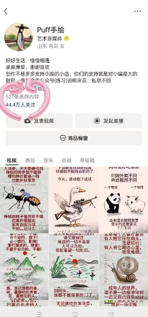 Puff手绘视频号分成项目，三天过分成计划，简单易上手，适合新手-中创项目网