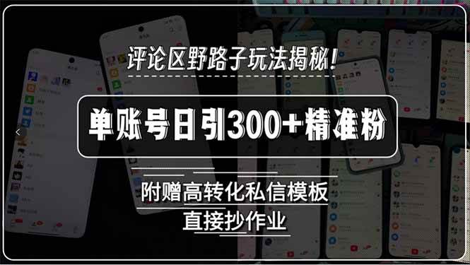 （15466期）评论区野路子玩法揭秘！单账号日引300+精准粉，附赠高转化私信模板，直…-中创项目网