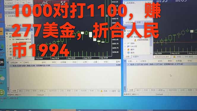 稳定8年的美刀搬砖项目，单人每日收益800—3000.团队4人月入10W+.可线下-中创项目网