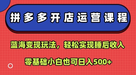 拼多多开店运营课程：蓝海变现玩法，轻松实现睡后收入，零基础小白也可日入5张-中创项目网
