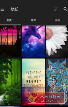 ZEDGE 铃声和壁纸v8.80.2高级版-中创项目网