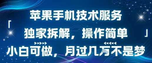苹果手机技术服务，独家拆解，操作简单，小白可做，月过1W不是梦-中创项目网