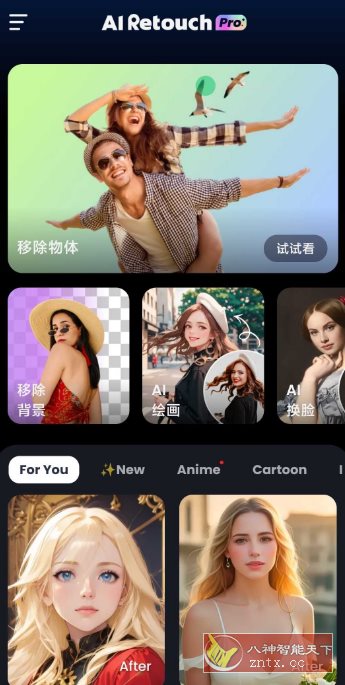 AI Retouch 移除杂物1.254.66高级版-中创项目网