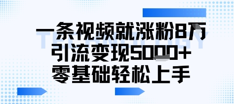 一条视频就涨粉8W引流变现5k+，0基础项目轻松上手-中创项目网