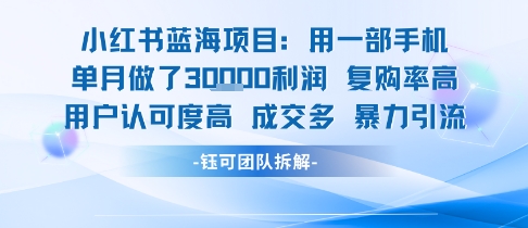 小红书蓝海项目，一部手机单月做了3W利润，小白也能月入过1W用户认可度高成交多-中创项目网