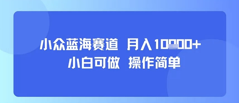 小众蓝海赛道，小白可做，操作简单，每天30分钟，月入1W+-中创项目网
