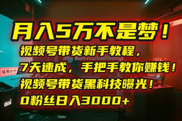 （15595期）月入5万不是梦！视频号带货新手教程，7天速成，手把手教你赚钱！视频号…-中创项目网