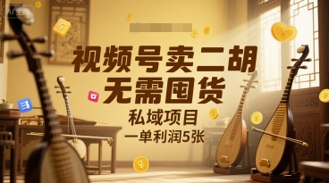 视频号卖二胡，无需囤货，私域项目，一单利润5张-中创项目网