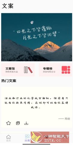 文案大师 v1.0纯净版-中创项目网