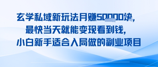 玄学私域新玩法月入1W+，最快当天就能变现看到米，小白新手适合入局做的副业项目-中创项目网