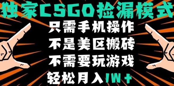 CSGO自动捡漏项目，最新独家玩法，不是美区搬砖，不需要了解和玩游戏，新手小白轻松月入1W+【揭秘】-中创项目网