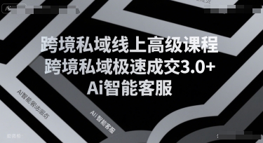 跨境私域线上高级课程，跨境私域极速成交3.0+Ai智能客服-中创项目网