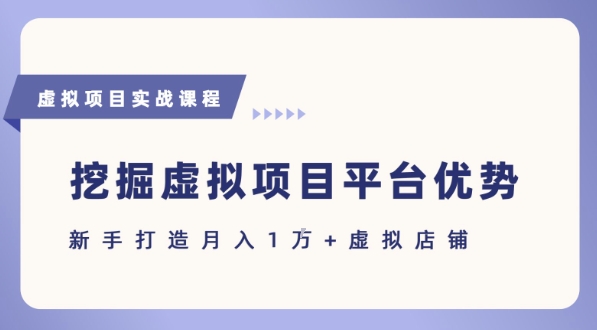抓住虚拟项目各平台优势，新手轻松月入1W+(给出具体建议)-中创项目网