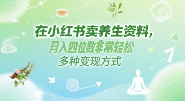 在小红书卖养生资料，月入四位数非常轻松，多种变现方式-中创项目网