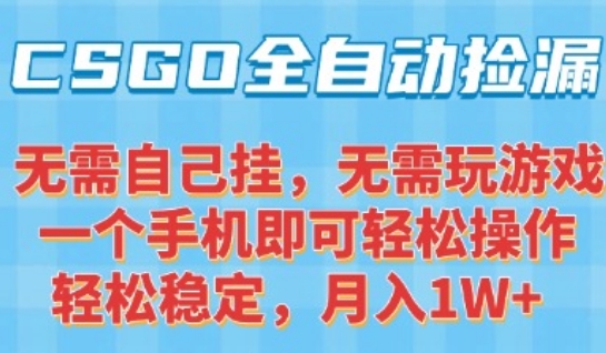 CSGO自动捡漏项目，最新独家玩法，一个手机可操作，新手小白轻松月入1W+，操作简单易上手【揭秘】-中创项目网