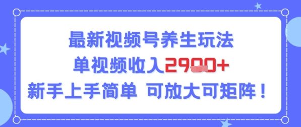 视频号养生玩法，单视频收入2.9k，新手上手简单-中创项目网