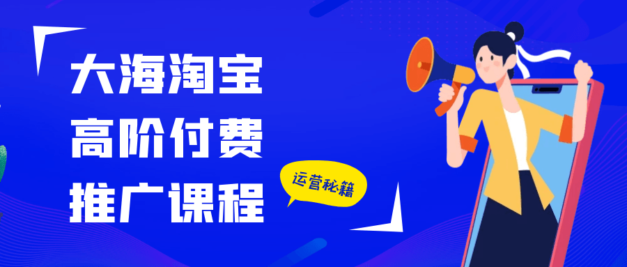 大海淘宝高阶付费推广课程-中创项目网