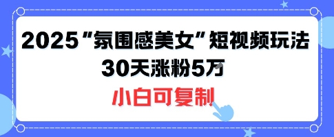 不露脸也能火！2025“氛围感美女”短视频玩法，30天涨粉5W小白可复制-中创项目网