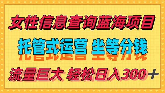 （15216期）稳定日入300＋，小众信息查询蓝海项目，全程懒人式托管，解放你的时间-中创项目网