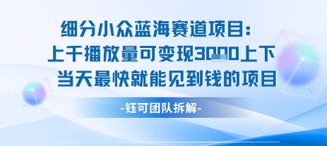 小众蓝海赛道项目：当天变现1k+适合新手操作 +适合长期玩-中创项目网