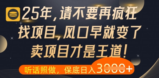 什么？25年你还在疯狂找项目做，醒醒吧，看完这些你全都懂了【揭秘】-中创项目网
