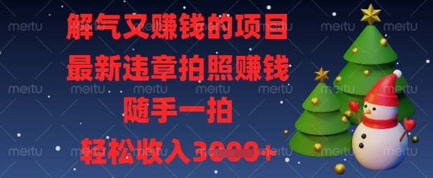 解气又挣钱的项目，最新违章拍照挣钱，随手一拍，轻松收入数张【揭秘】-中创项目网