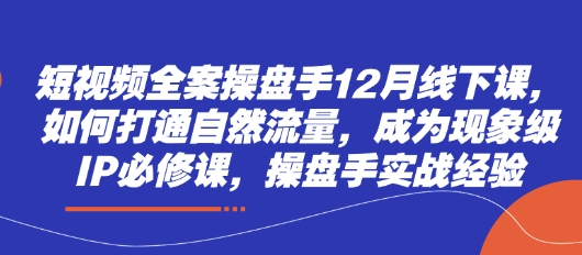 短视频全案操盘手12月线下课，如何打通自然流量，成为现象级IP必修课，操盘手实战经验-中创项目网