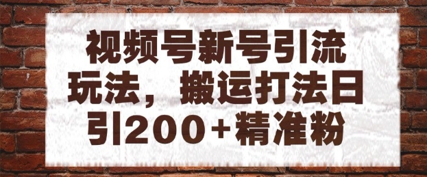 视频号新号引流玩法，搬运打法日引200+精准粉，可矩阵放大【揭秘】-中创项目网