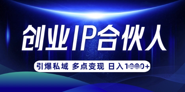 云帆·创业ip合伙人打造3.0，从0到1教你做网创，实现月入过W-中创项目网