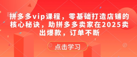拼多多vip课程，零基础打造店铺的核心秘诀，助拼多多卖家在2025卖出爆款，订单不断-中创项目网