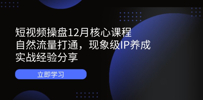 短视频操盘12月核心课程：自然流量打通，现象级IP养成，实战经验分享-中创项目网