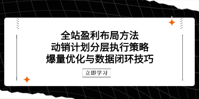 全站盈利布局方法：动销计划分层执行策略，爆量优化与数据闭环技巧-中创项目网