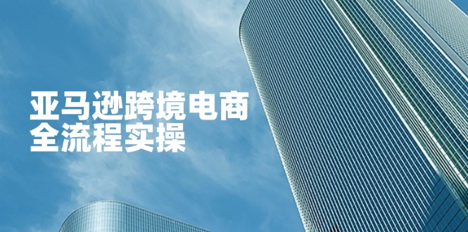 亚马逊跨境电商全流程实操，教你从零开始，掌握店铺运营与广告技巧-中创项目网