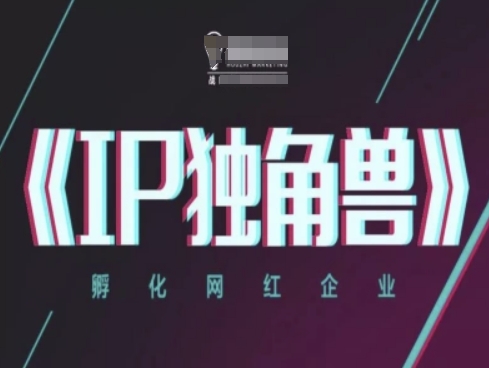 IP独角兽，孵化网红企业，ip教程-中创项目网