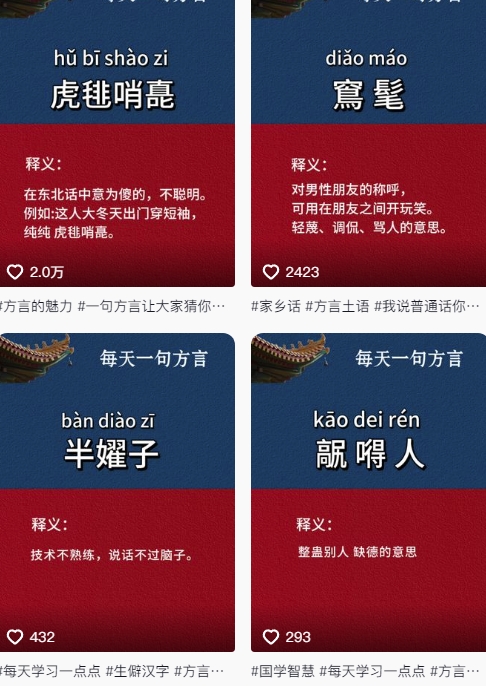 抖音最新涨粉玩法，图文方言暴力涨粉实操，126作品涨粉11W-中创项目网