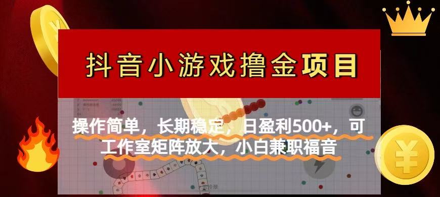 【抖音小游戏发行人计划项目】操作简单，长期稳定，日盈利500+，可工作…-中创项目网