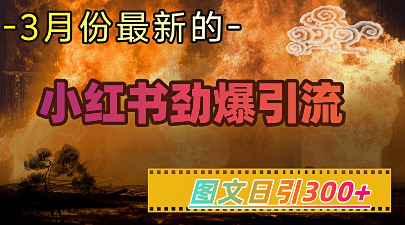 小红书超劲爆引流手段，图文日引300+轻松变现1W-中创项目网