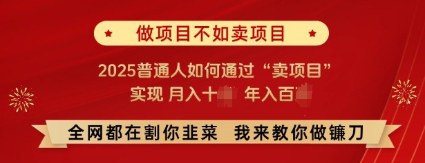必看，做项目不如卖项目，2025普通人如何通过“卖项目”实现月入十个，年入百个-中创项目网