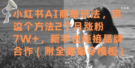 小红书AI商单玩法，用这个方法2个月涨粉7W+，新手也能接品牌合作(附全套指令模板)-中创项目网