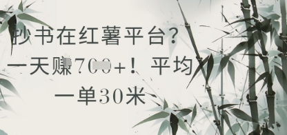 抄书在小红薯平台？平均一单30米，一天收益几张！-中创项目网