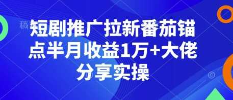 短剧推广拉新番茄锚点半月收益1万+大佬分享实操-中创项目网
