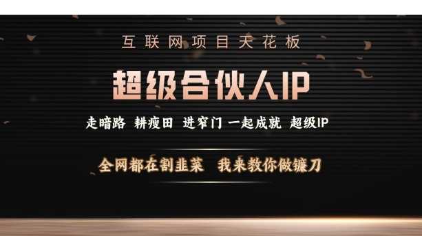 互联网项目天花板，超级合伙人IP，全网都在割韭菜，我来教你做镰刀【仅揭秘】-中创项目网